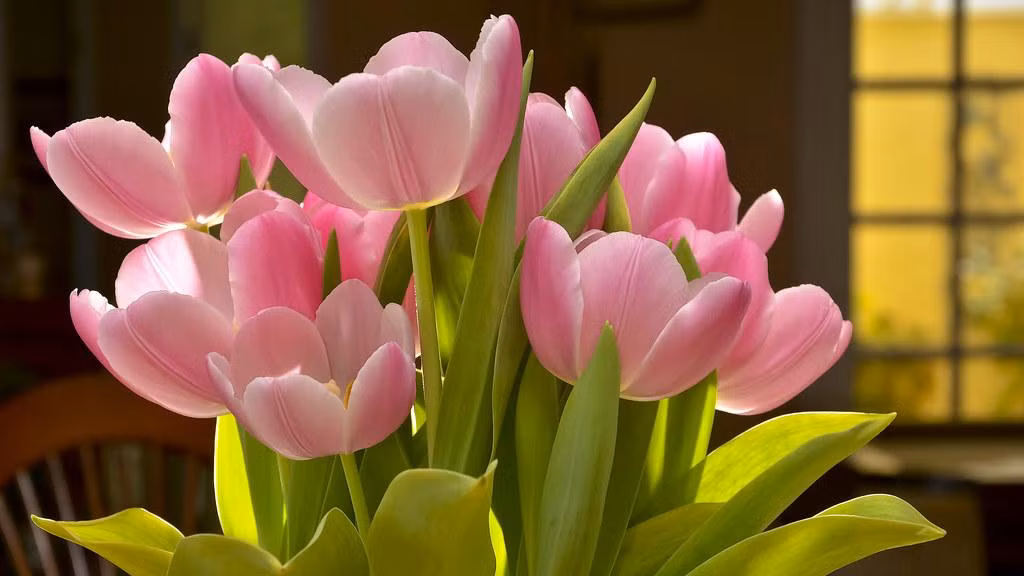 3 con giap diem tinh lai can trong, sau tuoi 40 lam dau thang do-Hinh-3