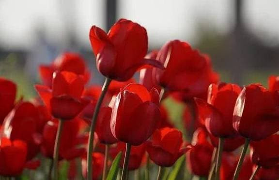 Het xui xeo, 3 chom sao don van may troi cho tu thang 2 am