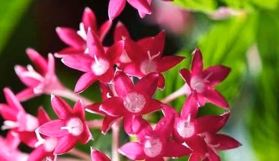 Het xui xeo, 3 chom sao don van may troi cho tu thang 2 am-Hinh-3