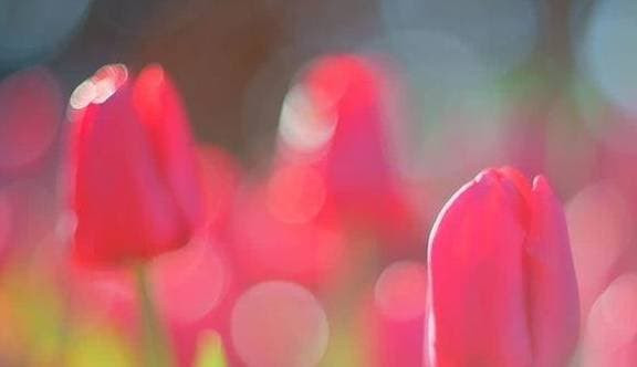 Het xui xeo, 3 chom sao don van may troi cho tu thang 2 am-Hinh-2