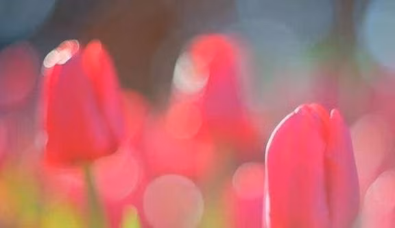 Het xui xeo, 3 chom sao don van may troi cho tu thang 2 am-Hinh-2