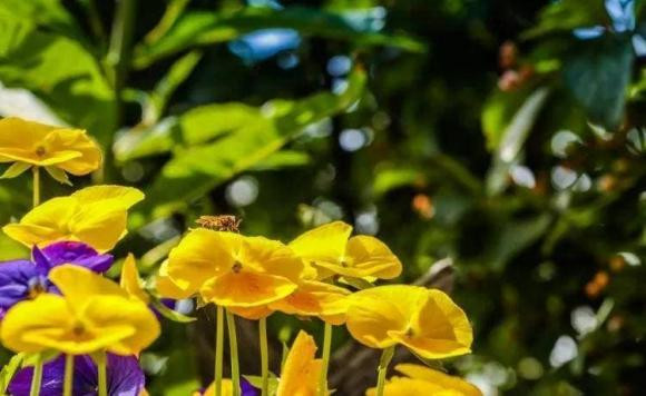 Nguoi sinh vao may ngay am lich nay may man sinh ra trong 