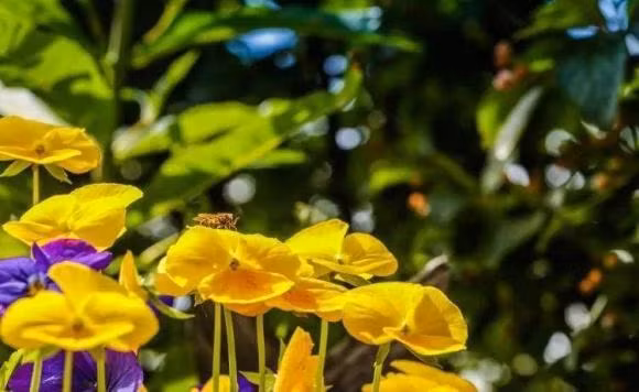 Nguoi sinh vao may ngay am lich nay may man sinh ra trong 