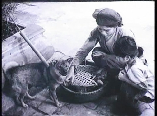 Với màn hóa thân tài tình, Lê Vân đã để lại ấn tượng sâu đậm trong lòng khán giả. Đây cũng được xem là một trong những vai diễn thành công nhất của Lê Vân trong sự nghiệp diễn xuất.