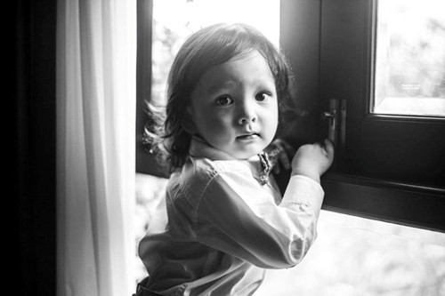 Nhiều fan đã dành cho Tôm và Tép những lời khen như "đáng yêu", "thiên thần".