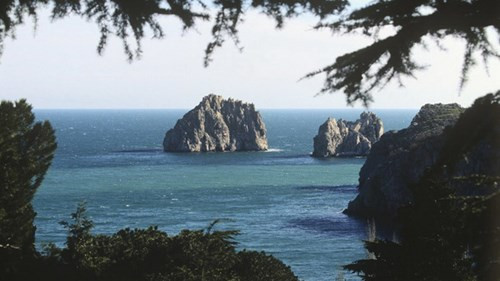 Thành phố Sevastopol nhìn ra biển Đen - Ảnh: rt.com.