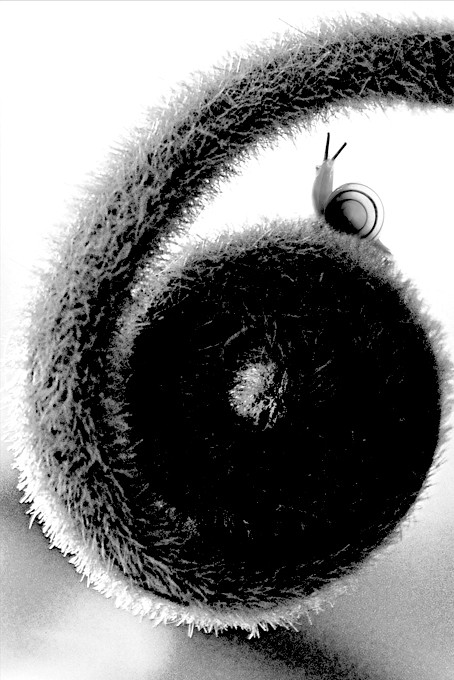 Số 6: Là con số cho thấy một năm mãn nguyện tương đối. Thời điểm của số 6 là lúc dễ nhất để thu hút tình yêu, và các quan hệ được hình thành dưới sự chấn rung của con số này. Sẽ có nhiều cơ hội để tồn tại bền vững. Bạn có khả năng thu hút những người khác, và cả những đối tượng vật chất khác nữa trong năm nay. Đây là một năm tốt để thiết lập sự hài hòa trong gia đình và bạn bè thân. Lời khuyên: Hãy phát triển những mối quan hệ hiện có đồng thời tích cực tiếp thu các mối quan hệ mới.