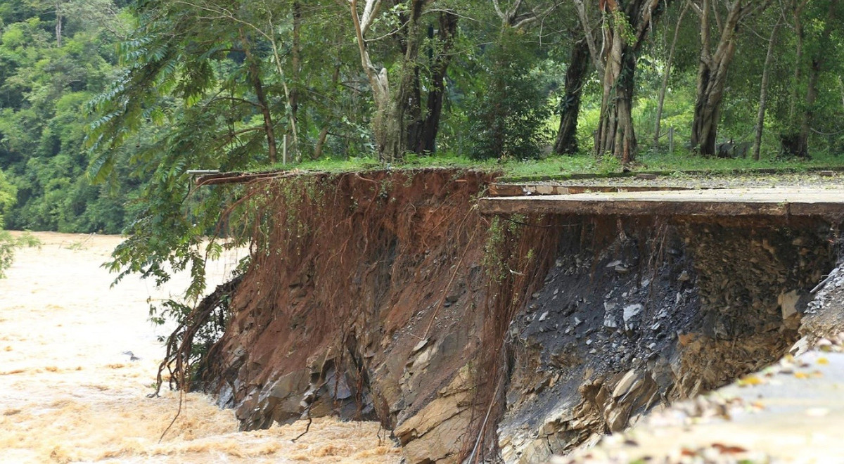 Nhiều cây xanh khu vực khuôn viên Nhà máy Thủy điện Đắk R'tih bị nước xói trơ rễ