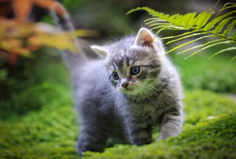 3 con giap thang 9 tien ve, thang 10 no loc, cuoi nam giau to-Hinh-2