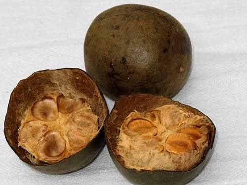 Quả La Hán. Các thử nghiệm trên chuột ghi nhận các glycosid loại cucurbitan trích từ quả La hán có thể có một số hoạt tính ngừa ung thư.