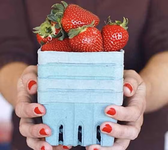 Thực phẩm chống ung thư. Các nhà nghiên cứu Mỹ đã khẳng định, tiêu thụ nhiều rau quả giúp giảm nguy cơ thụ thể estrogen âm (ER âm tính) ung thư vú. Hơn nữa, rau quả còn có tác dụng làm giảm số lượng các khối u có ER dương tính - loại ung thư vú có ảnh hưởng đến 70 % bệnh nhân. Đó chính là lý do bạn nên bổ sung rau quả trong khẩu phần ăn hàng ngày.