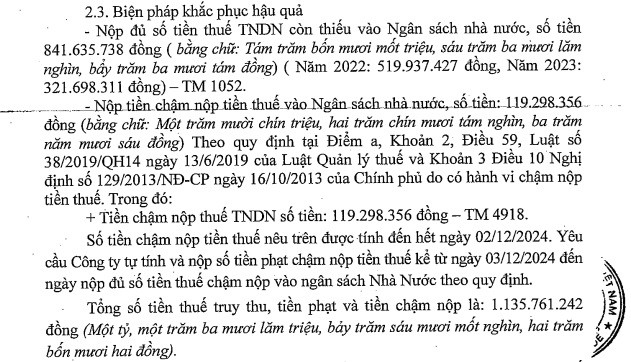 Ho so Tap doan Hoa chat Nhua bi phat, truy thu thue 1,13 ty-Hinh-3