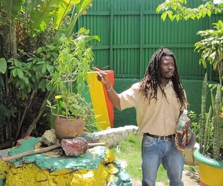 4. Tour tham quan trang trại trồng cần sa tại Jamaica. Những tour tham quan này diễn ra bí mật và được gọi là “Khám phá Ganja”. Du khách sẽ được đưa tới khu vực được gọi là 9 dặm (Nine Mile), đông dân Rastafaria sinh sống ở Jamaica. Tại đây, du khách không chỉ được tham quan trang trại trồng cần sa mà còn có thể mua loại ma túy này. Các công ty du lịch chỉ cung cấp dịch vụ chui và không dám công khai quảng cáo