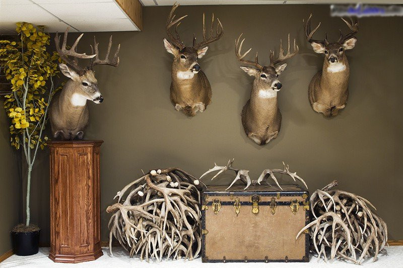 Phong khach co 6 do vat nay se pha vo phong thuy, xua duoi Than Tai