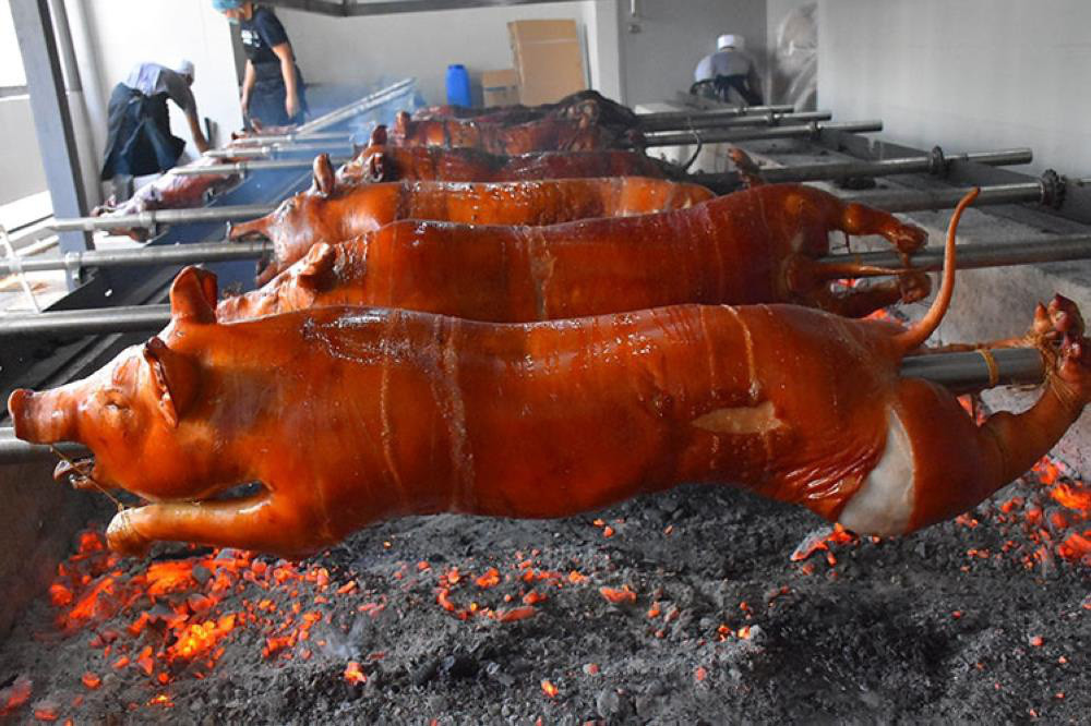 Đặc sản lợn sữa quay nguyên con, nhìn là mê, ăn là phê Dac san lon sua quay nguyen con, nhin la me, an la phe