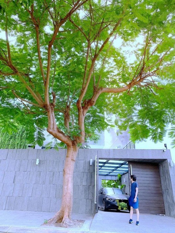 Năm 2012, Mr. Siro kết hôn cùng vợ Bảo Ngân chỉ sau hơn 1 tháng tìm hiểu nhau. Anh cho biết sau khi cưới vợ, anh biết được khán giả muốn và thích nghe gì. Từ đó có nhiều cảm hứng cho các ca khúc của mình.