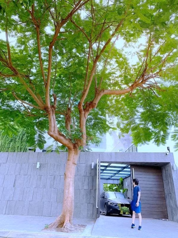 Năm 2012, Mr. Siro kết hôn cùng vợ Bảo Ngân chỉ sau hơn 1 tháng tìm hiểu nhau. Anh cho biết sau khi cưới vợ, anh biết được khán giả muốn và thích nghe gì. Từ đó có nhiều cảm hứng cho các ca khúc của mình.