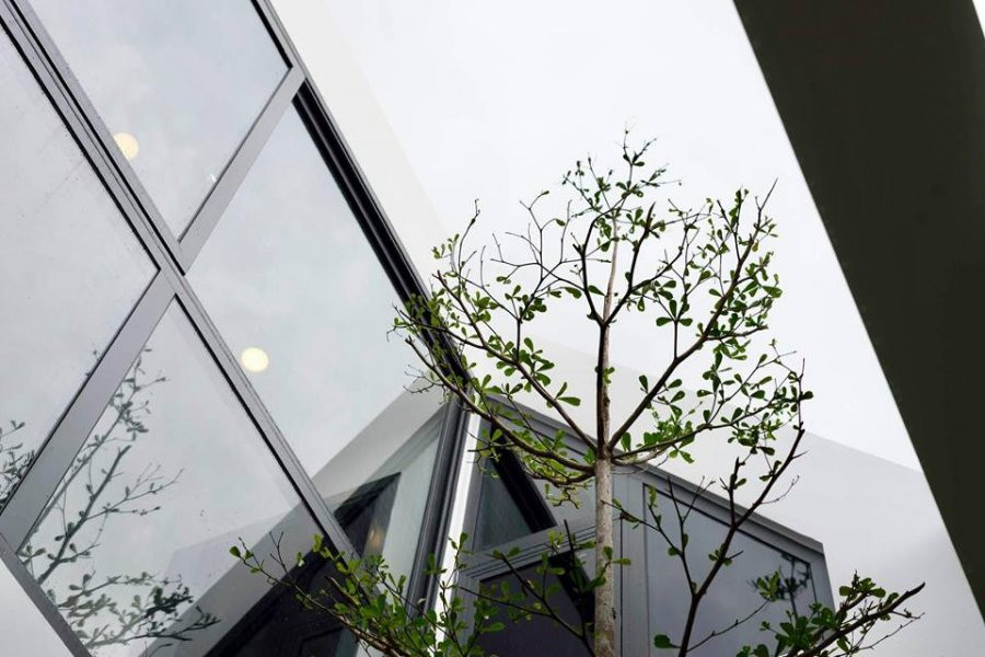 Khi bước vào phòng ngủ ai cũng rất ấn tương với lỗi thiết kế cực ky độc đáo, hòa mình với thiên nhiên. Nam ca sĩ Cao Thái Sơn bộc bạch, anh rất thích cảm giác gần gũi, tự nhiên nên trong nhà trồng nhiều cây xanh, hoa quả. Và anh thường xuyên dạo bộ ngoài vườn để ngắm chúng.