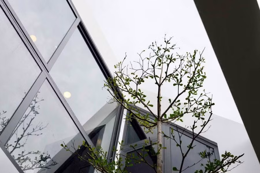 Khi bước vào phòng ngủ ai cũng rất ấn tương với lỗi thiết kế cực ky độc đáo, hòa mình với thiên nhiên. Nam ca sĩ Cao Thái Sơn bộc bạch, anh rất thích cảm giác gần gũi, tự nhiên nên trong nhà trồng nhiều cây xanh, hoa quả. Và anh thường xuyên dạo bộ ngoài vườn để ngắm chúng.