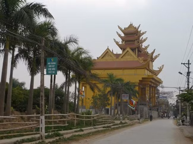 Làng Mẹo có khoảng 3500 nhân khẩu, 100 ha đất nông nghiệp. Nếu tính toán kỹ thì mỗi người được 250m2 đất là con số không nhiều.