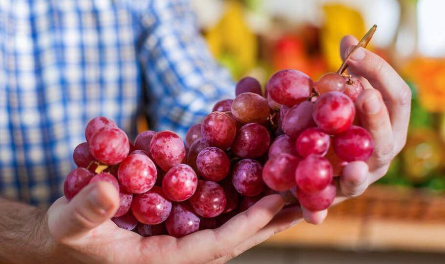 Chon mua nho nen nem qua tren cung hay o giua la dung nhat? Day la cach chon chuan nhat