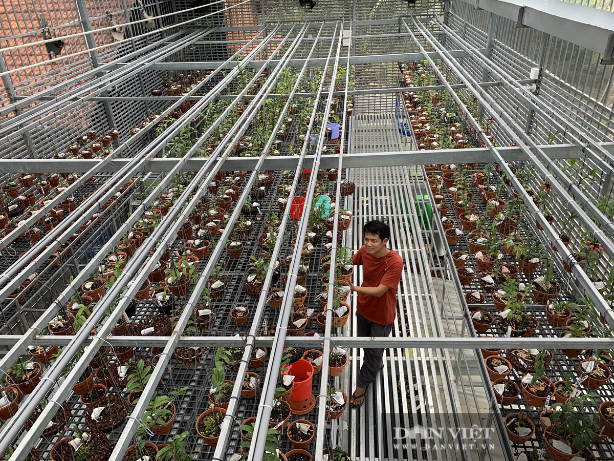 Vuon lan dot bien tri gia hon 60 ty o Can Tho