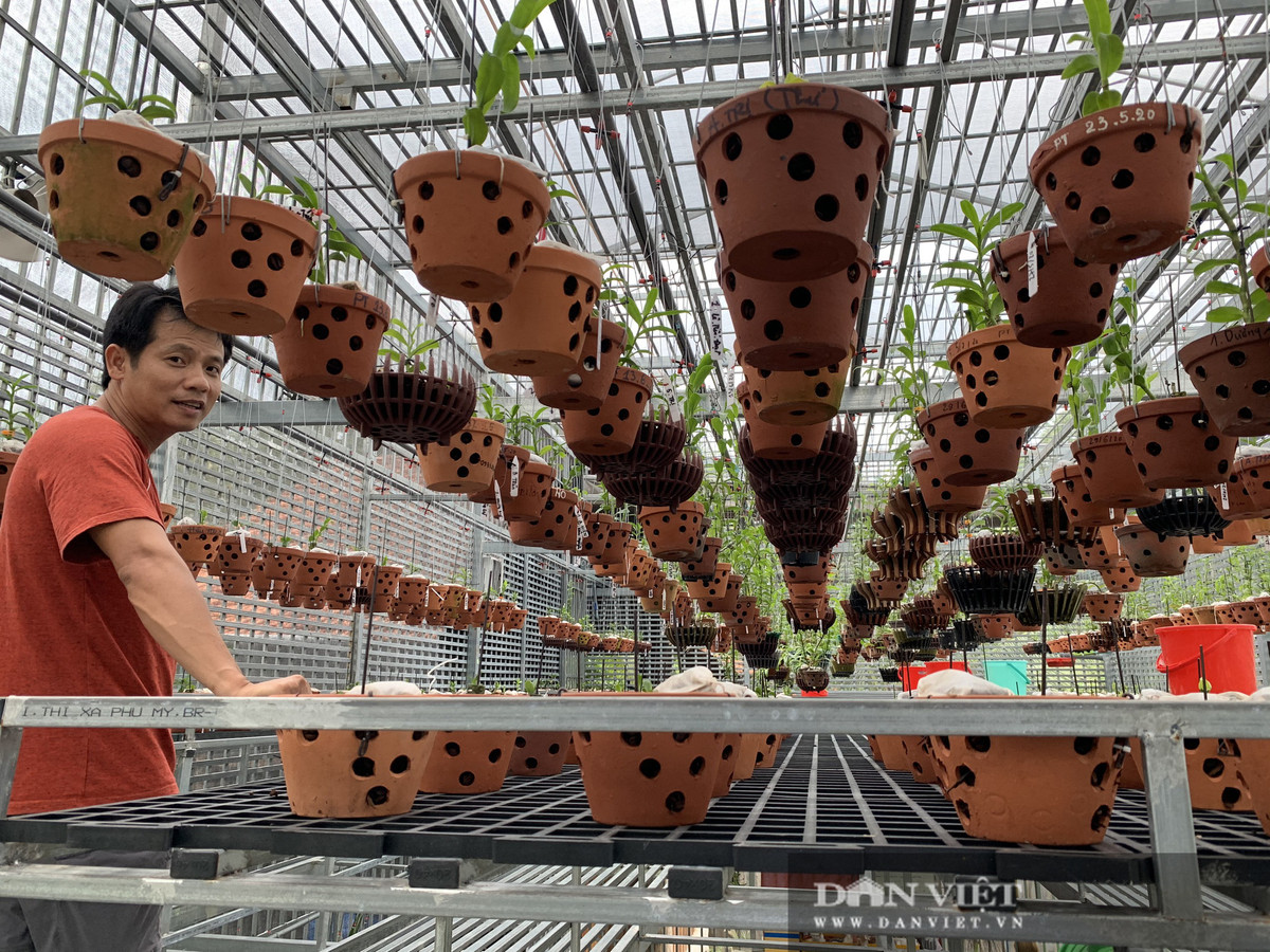 Vuon lan dot bien tri gia hon 60 ty o Can Tho-Hinh-4