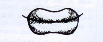 7. Miệng hổ: Đặc điểm của miệng hổ là môi mềm mại, thu lại ở giữa, miệng rộng đủ đút lọt nắm tay, khóe miệng hướng lên trên. Đây là tướng miệng giàu sang phú quý, thông minh lanh lợi nhưng đôi lúc không chân thật.