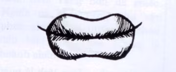 7. Miệng hổ: Đặc điểm của miệng hổ là môi mềm mại, thu lại ở giữa, miệng rộng đủ đút lọt nắm tay, khóe miệng hướng lên trên. Đây là tướng miệng giàu sang phú quý, thông minh lanh lợi nhưng đôi lúc không chân thật.