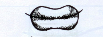 2. Miệng cá chép: Đặc điểm của miệng cá chép là miệng mỏng, môi rộng, khóe miệng nhọn, trễ xuống, sắc môi không tươi, răng không đều. Chủ nhân của tướng miệng này cả đời phiêu bạt, cuộc sống lúc nào cũng túng thiếu.