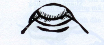 4. Miệng lợn: Đặc điểm của miệng lợn là môi trên dày, nhô ra phía trước và phủ lên môi dưới, môi dưới nhọn, nhỏ, mỏng, ngắn và thu vào trong, hai khóe miệng trễ xuống. Chủ nhân là người có đầu óc kém linh hoạt, tính hung tợn, khó có thể gặt hái được thành công trong cuộc sống, hậu vận về già không mấy tốt đẹp.