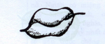 6. Miệng lệch: Đặc điểm của miệng lệch là miệng bị méo, trên dưới không cân xứng, môi có ít nếp nhăn, to mà không thu lại. Những người bị miệng lệch bẩm sinh (không kể bị méo miệng do trúng gió) thường sát cha và mẹ. Do đó, người có tướng miệng này không nên sống cùng gia đình. Là người vợ, họ thường không mấy chung thủy. Là người con, họ sống bất hiếu. Cuộc đời khó mà trường thọ.