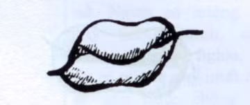 6. Miệng lệch: Đặc điểm của miệng lệch là miệng bị méo, trên dưới không cân xứng, môi có ít nếp nhăn, to mà không thu lại. Những người bị miệng lệch bẩm sinh (không kể bị méo miệng do trúng gió) thường sát cha và mẹ. Do đó, người có tướng miệng này không nên sống cùng gia đình. Là người vợ, họ thường không mấy chung thủy. Là người con, họ sống bất hiếu. Cuộc đời khó mà trường thọ.