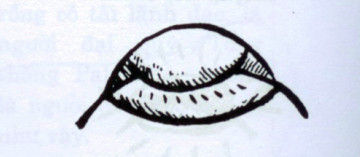 7. Miệng ống bễ: Miệng nhọn, không thu lại, môi vẩu hở răng, khóe miệng trễ xuống trông giống ống bễ, hơn nữa môi trên ôm lấy môi dưới, còn được gọi là miệng lôi công. Người có miệng như vậy tính tình cục cằn, thô lỗ, cả đời vất vả, cô đơn.