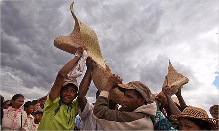 Madagascar, một quốc đảo nằm ở phía Đông châu Phi, không chỉ nổi tiếng với cây Bao báp thần kì, còn được thế giới biết đến với một lễ hội dành cho người chết kì lạ nhất.