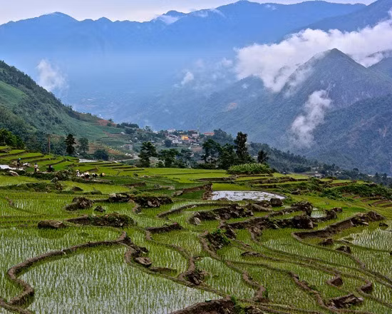 Bên cạnh đường bờ biển dài, đất nước Việt Nam còn có những thửa ruộng bậc thang đẹp tuyệt trần. Trong đó có ruộng bậc thang ở Sapa, những thửa ruộng thoai thoải đã tồn tại hơn 2000 năm trước đây và được người ta tạo nên bằng tay. Ngày nay, chúng vẫn được người Hmong đen canh tác. Cư dân sống ở miền núi canh tác, thu hoạch lúa hết năm này qua năm khác để duy trì sự sống cho gia đình các thế hệ.