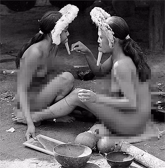 Họ đã bị xâm phạm lãnh thổ, lấn chiếm đất đai bởi các công ty, chính quyền. Vùng đất sinh sống của họ ngày càng bị thu hẹp. Sự thiếu thốn vật chất, không được chăm sóc y tế khiến bộ lạc Zo’é hao hụt dần số lượng cư dân.