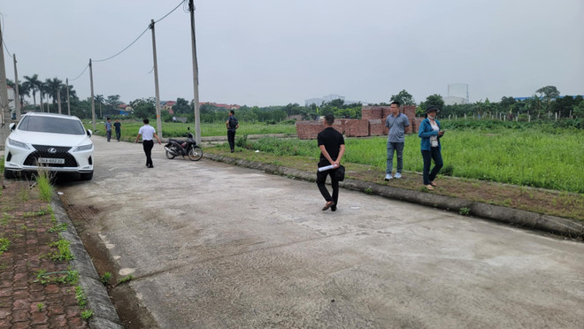 Dau gia thanh cong 56 lo dat, Hung Yen thu 265 ty dong