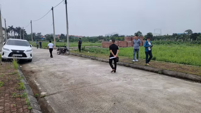 Dau gia thanh cong 56 lo dat, Hung Yen thu 265 ty dong