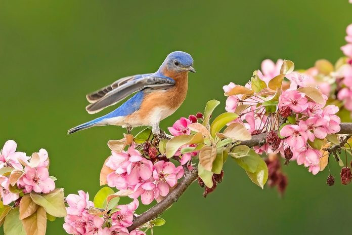 Nhà có 3 con giáp này mỗi ngày một niềm vui, rắc rối lùi xa Nha co 3 con giap nay moi ngay mot niem vui, rac roi lui xa