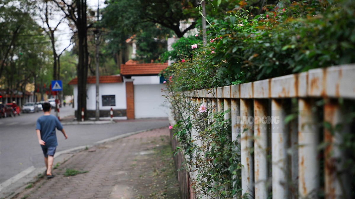 Theo người dân địa phương, dù bị bỏ hoang nhưng vì có người trông coi nên bệnh viện vẫn khá sạch sẽ, khuôn viên bệnh viện còn được sử dụng để trồng rau.