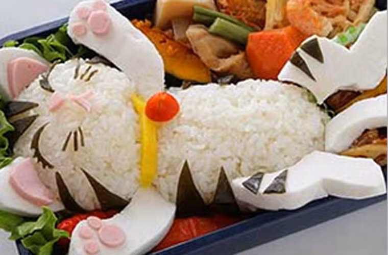 Các hộp gỗ Bento đắt tiền được thay thế bằng các hộp giấy hoặc nhựa tiện dụng và giá rẻ.