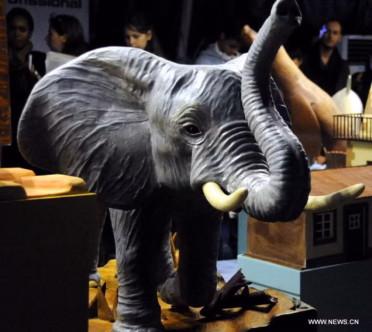 Đồng thời, bạn khó có thể tưởng tượng được chú voi đen đầy sức sống này lại được làm từ món ngon socola. Nó chân thực đến từng nếp nhăn trên ở vòi.