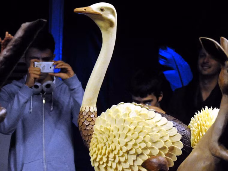 Chú chim đà điểu ngọt ngào này thu hút ống kính của nhiều du khách.