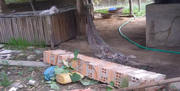 Một trường hợp nằm võng bị cột ngã đè chết xảy ra tại tỉnh Tây Ninh.