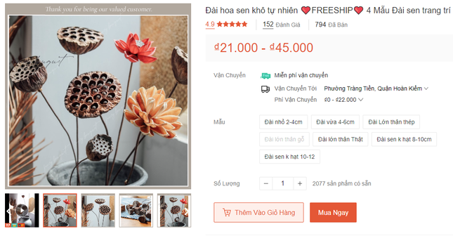 Đài sen khô sẽ bị thâm đen, khi đó chúng thường bị vứt bỏ. Thế nhưng một số cửa hàng hoa nghệ thuật đã biến đài sen khô thành tác phẩm đẹp mắt. Sau khi "đổi đời", đài sen khô có giá đắt đỏ, lên đến 45.000 đồng/đài.