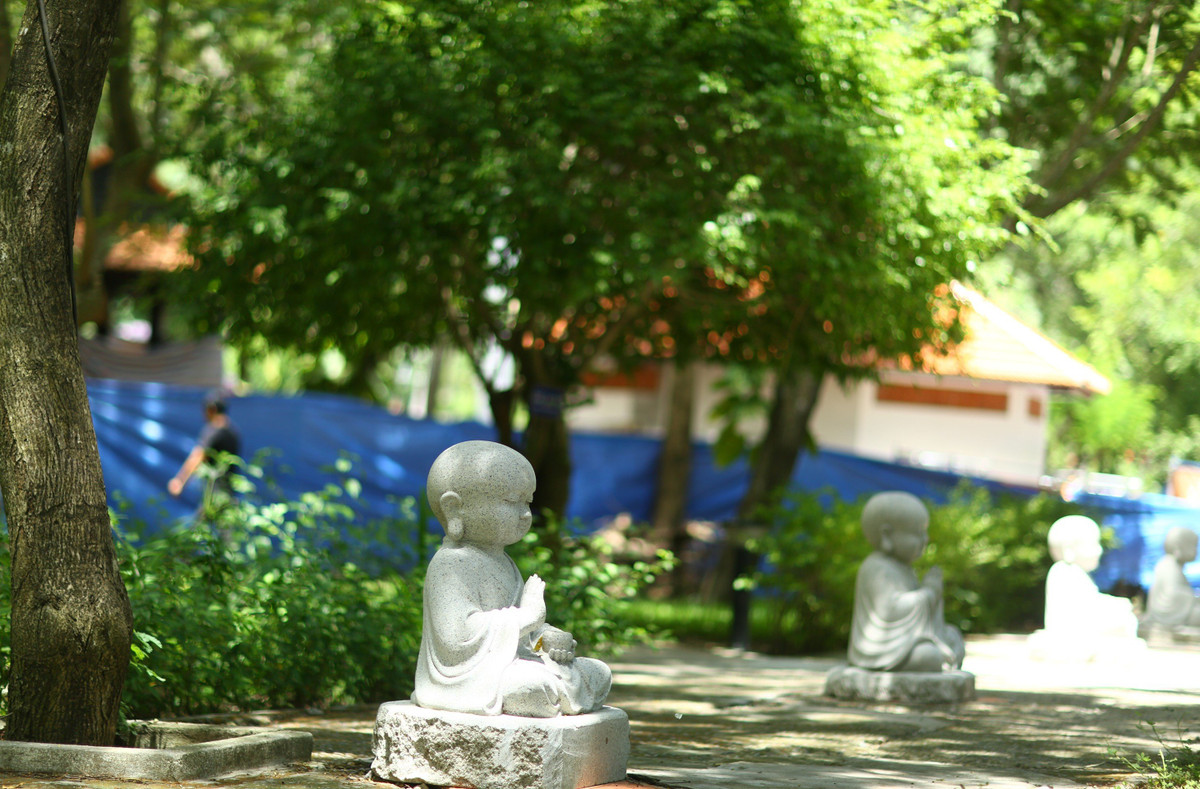 Người Chăm tại đây có tiếng về nghề thuốc cổ truyền, sử dụng cây thuốc khai thác từ núi Tà Cú.