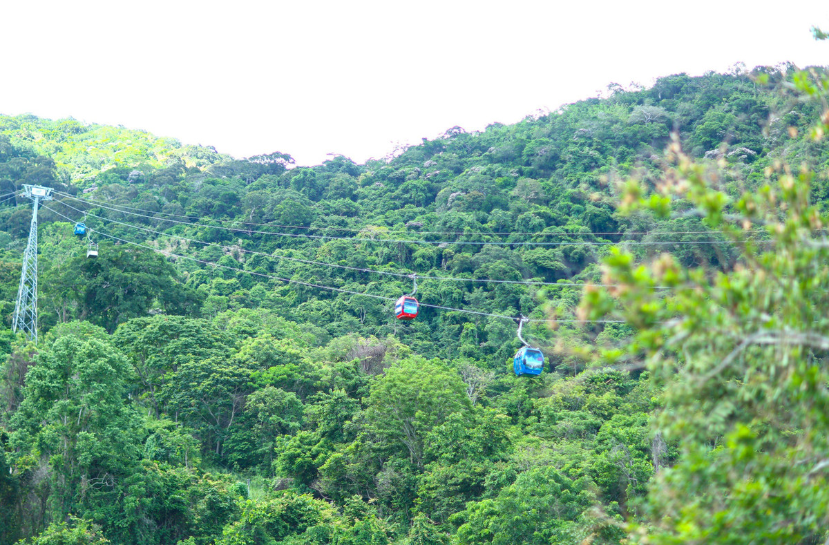 Núi Tà Cú khoảng cao 649m. Vào khoảng 1870-1880 thời vua Tự Đức, tổ Hữu Đức húy Thông Ân (1812-1887) đã khai sơn lập chùa trên núi và được các chư hậu tổ tiếp tục trùng tu và ngôi chùa Tổ Đình Long Đoàn nằm ở độ cao 563m.