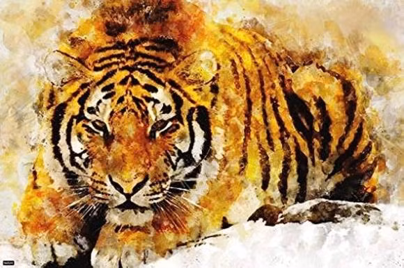 Tuổi Dần. Tử vi tuần mới Tử vi tuần mới (3/7 - 9/7) cho biết, người tuổi Dần được Thần Tài chiếu cố, chắc chắn mang lại niềm vui, công việc thuận lợi (Ảnh minh họa)