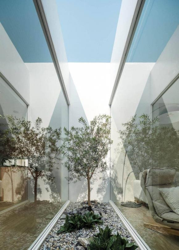 Khoảng sân này khá nhỏ, nhưng vẫn được thiết kế hở để giúp nuôi dưỡng cây xanh.